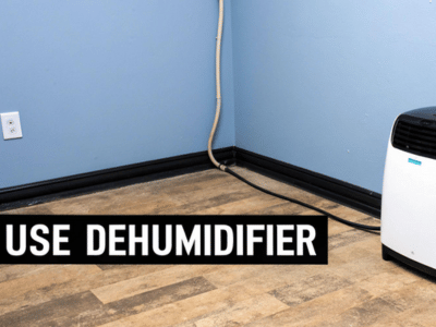 Using a Dehumidifier